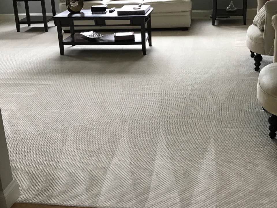Living room carpet after deep cleaning