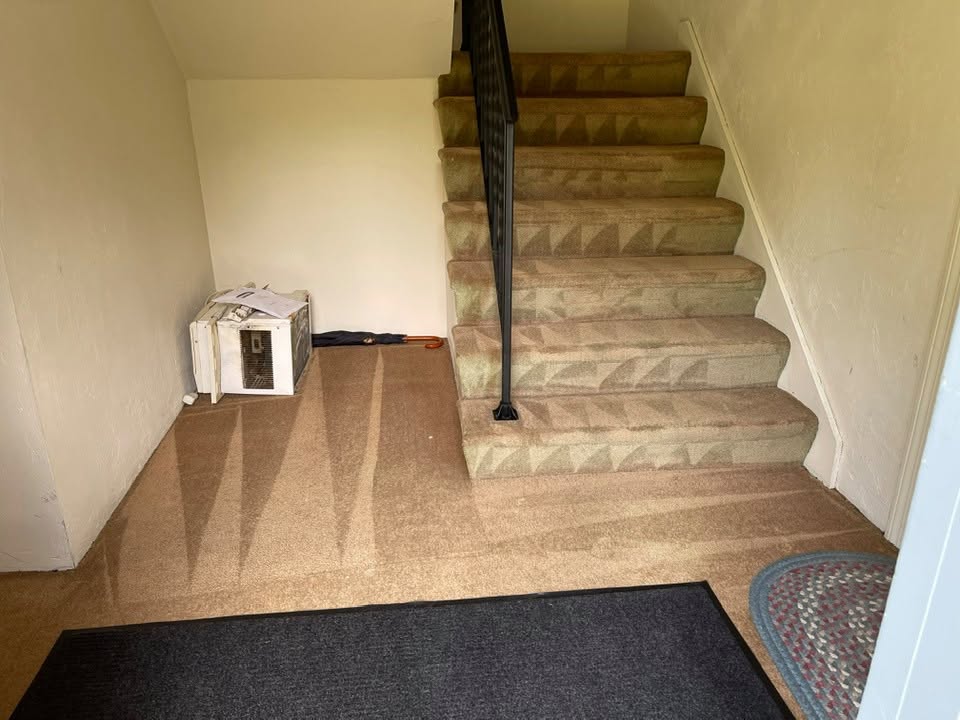 Freshly deep-cleaned carpeted staircase